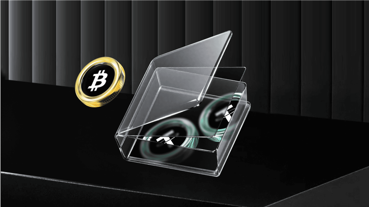 XRP vs XLM：哪种加密货币能让你成为百万富翁？