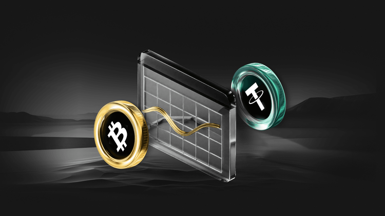 Metaplanet增持比特币:以96768美元价格购买555枚BTC,总持仓达5555枚